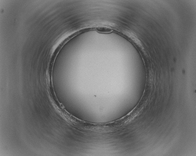 X0000067520936200604281630