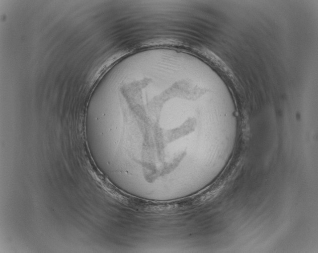 X0000067520937200604281630