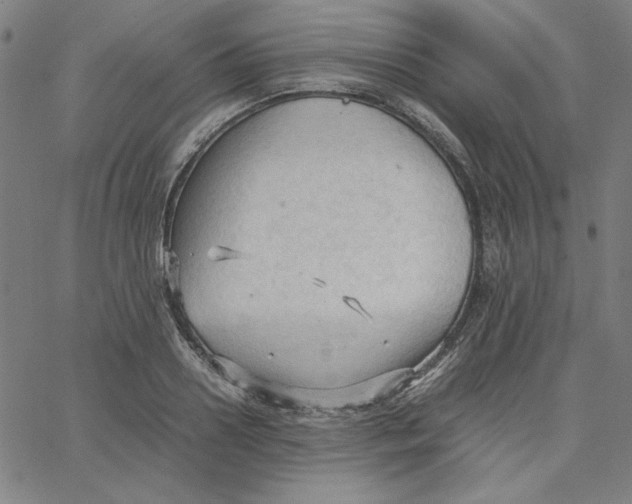 X0000067520938200604281630