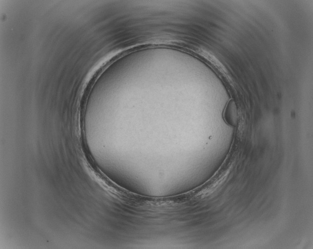 X0000067520939200604281630