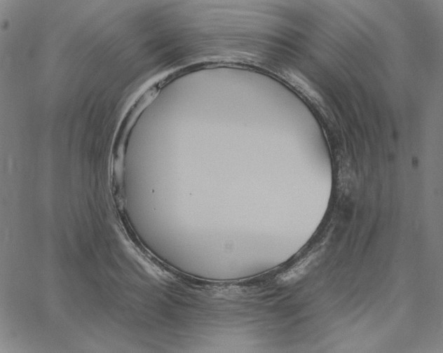 X0000067520940200604281630