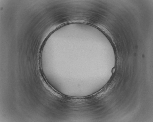 X0000067520941200604281630