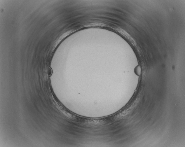 X0000067520945200604281630