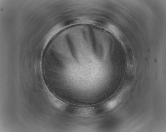 X0000067520947200604281630