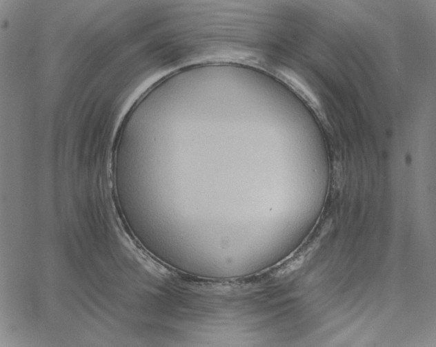 X0000067520948200604281630