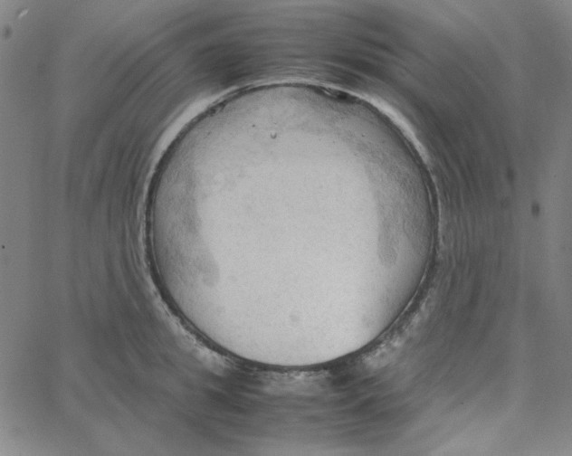 X0000067520949200604281630