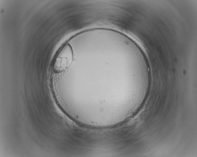 X0000067520950200604281630