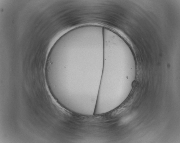 X0000067520951200604281630