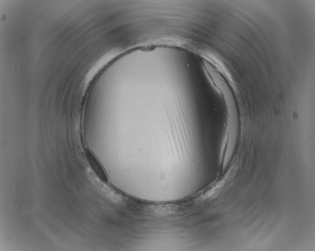 X0000067520952200604281630