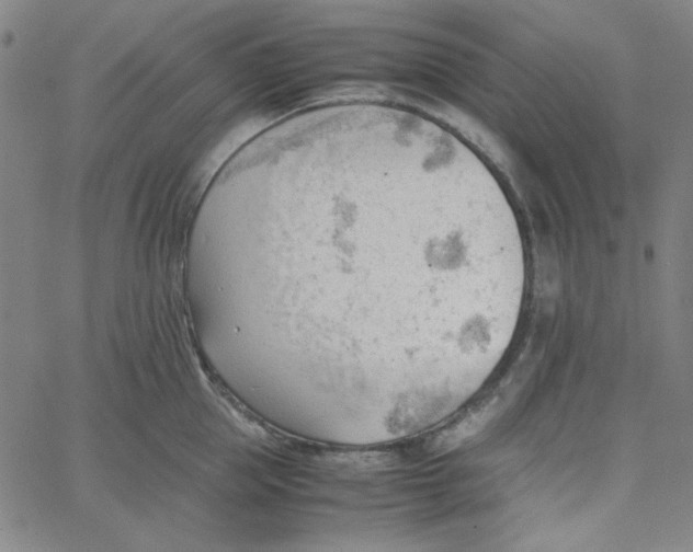 X0000067520953200604281630