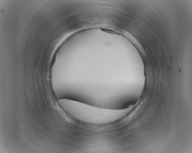 X0000067520956200604281630