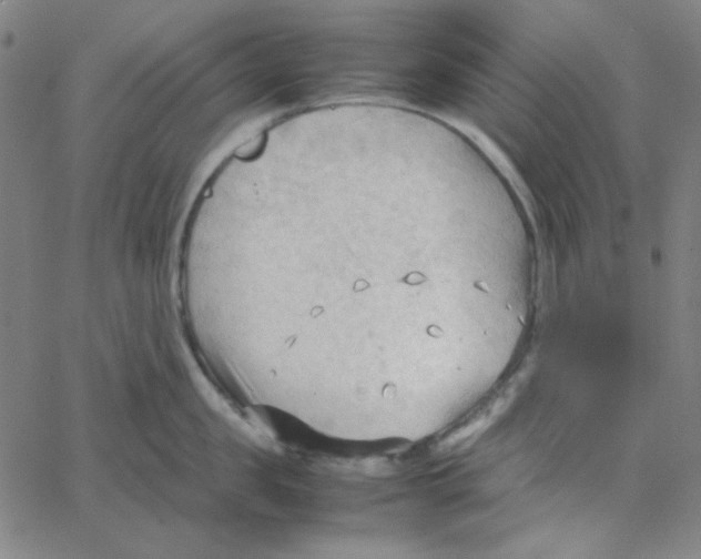 X0000067520957200604281631