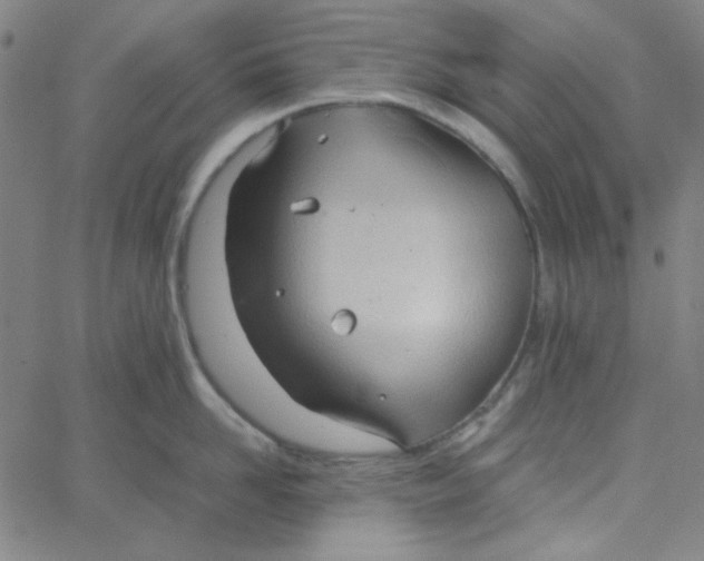 X0000067520958200604281631