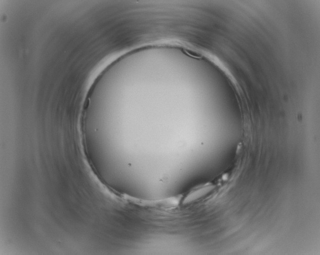 X0000067520959200604281631