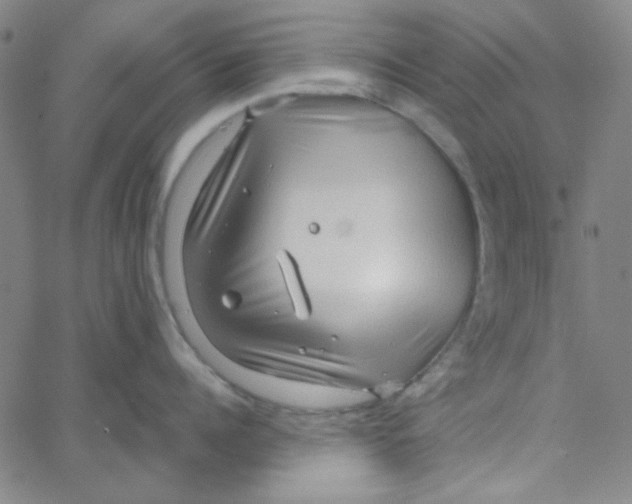 X0000067520960200604281631