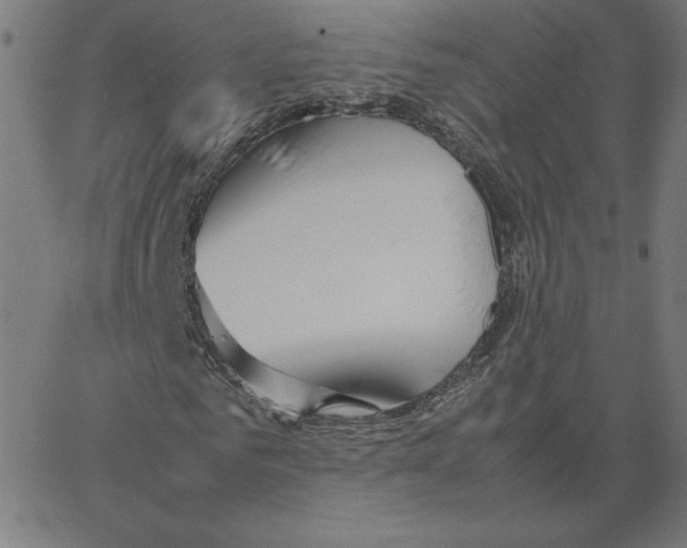 X0000067520961200604281630