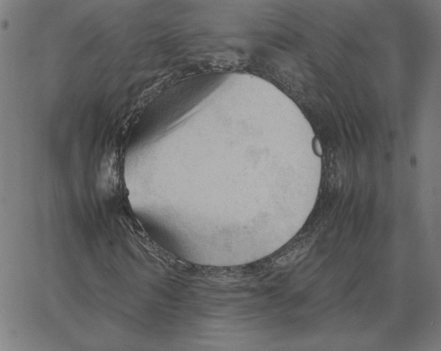 X0000067520962200604281630