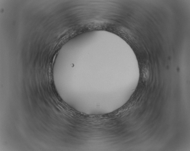 X0000067520964200604281630