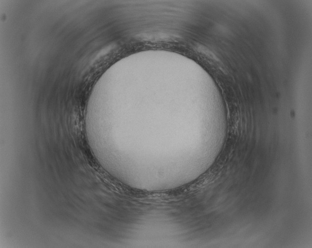 X0000067520966200604281630