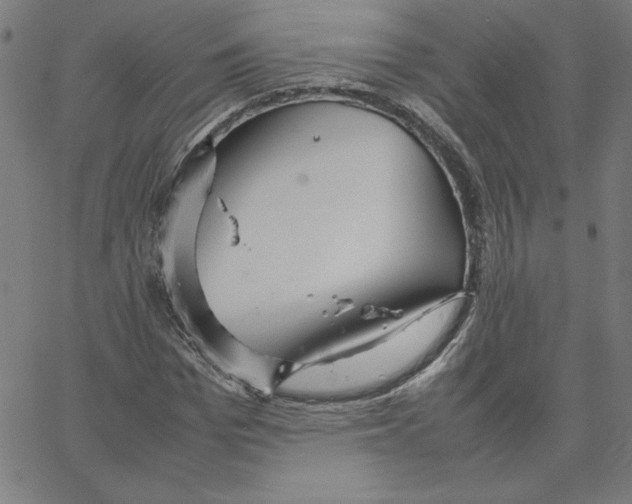 X0000067520969200604281630