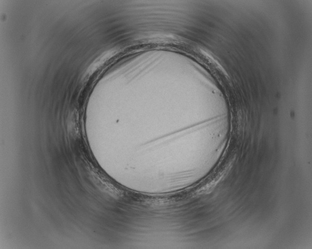 X0000067520970200604281630