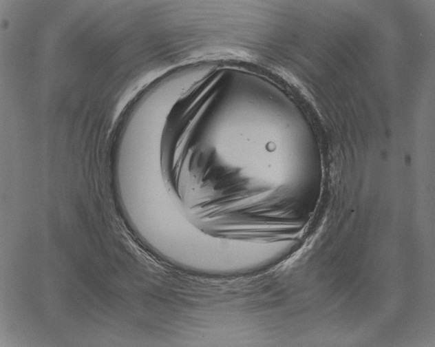 X0000067520973200604281630