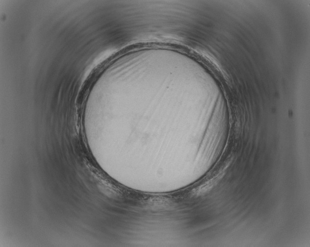 X0000067520974200604281630