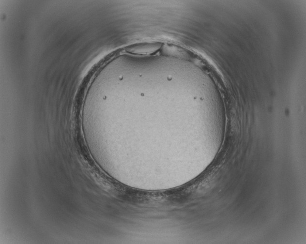 X0000067520975200604281630