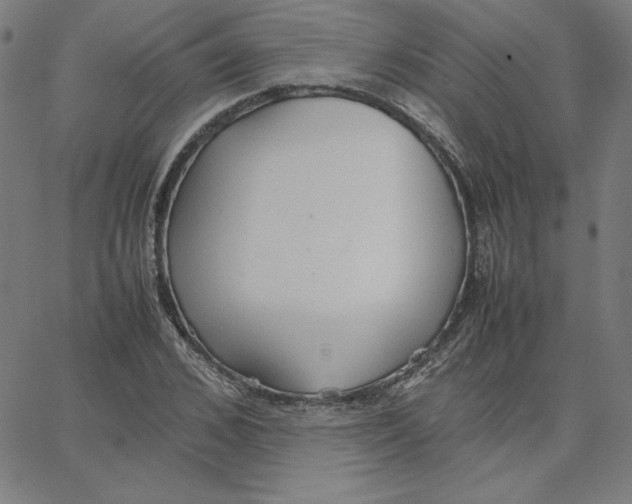 X0000067520976200604281630