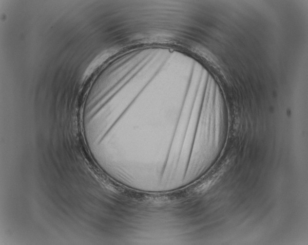 X0000067520978200604281630