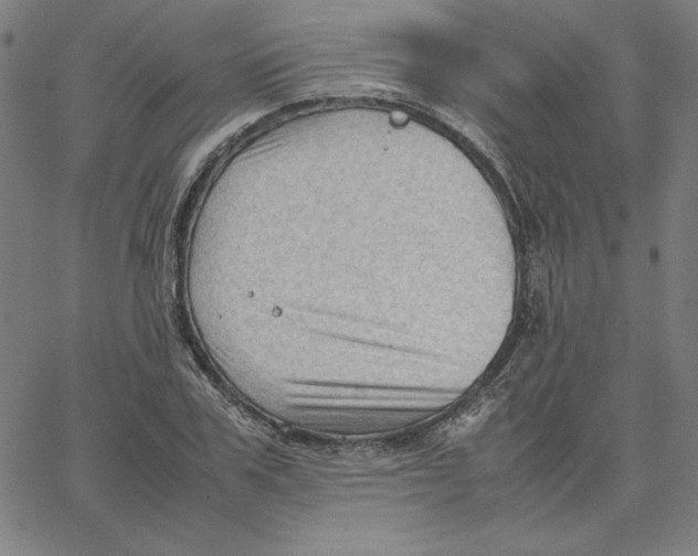 X0000067520979200604281629