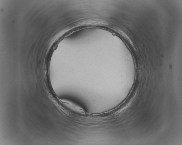 X0000067520981200604281629