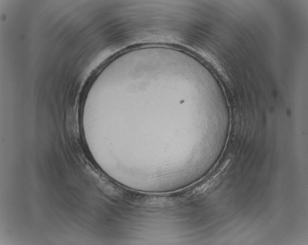 X0000067520982200604281629