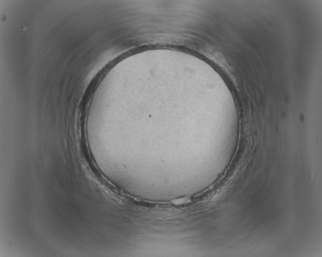 X0000067520983200604281629