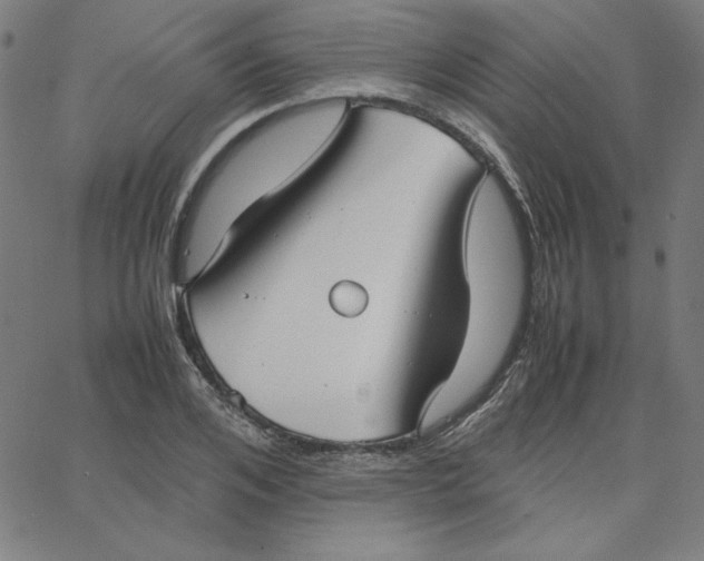 X0000067520984200604281629