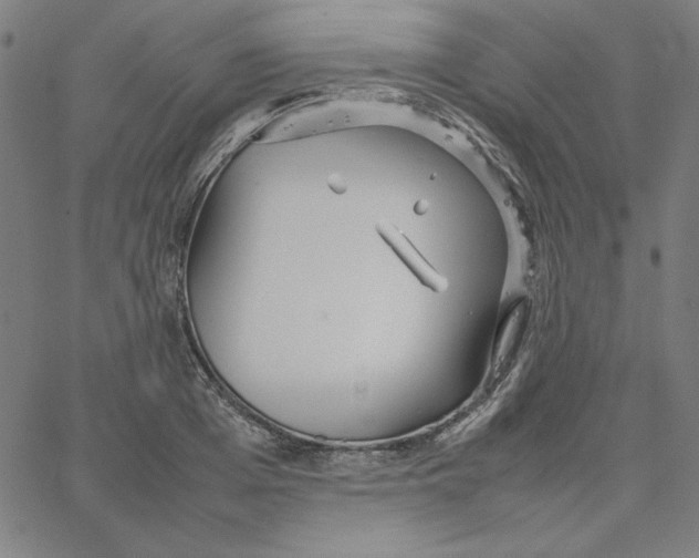 X0000067520985200604281629