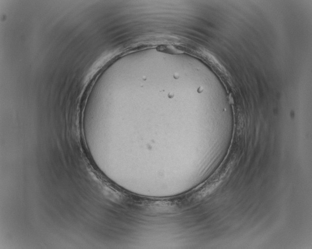 X0000067520986200604281629