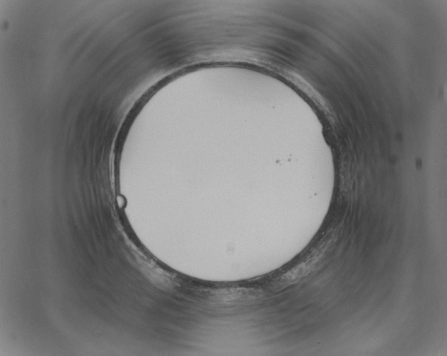 X0000067520988200604281629