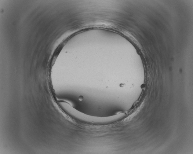 X0000067520989200604281629