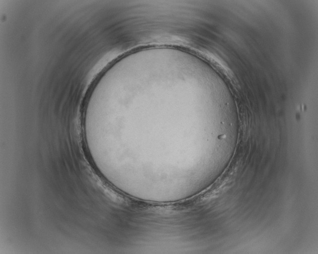 X0000067520990200604281629