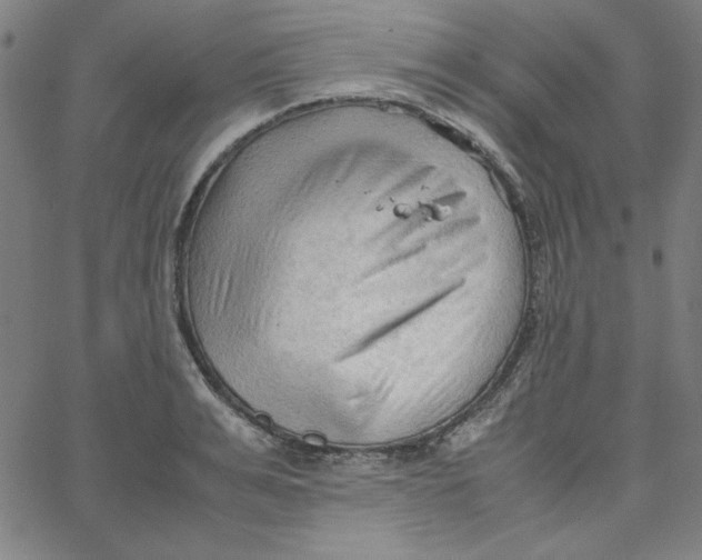 X0000067520991200604281629