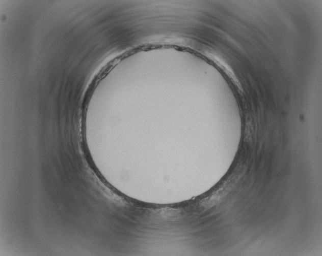 X0000067520992200604281629