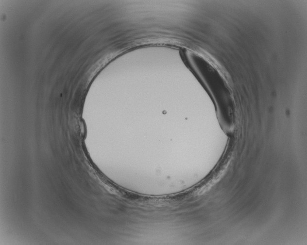 X0000067520993200604281629