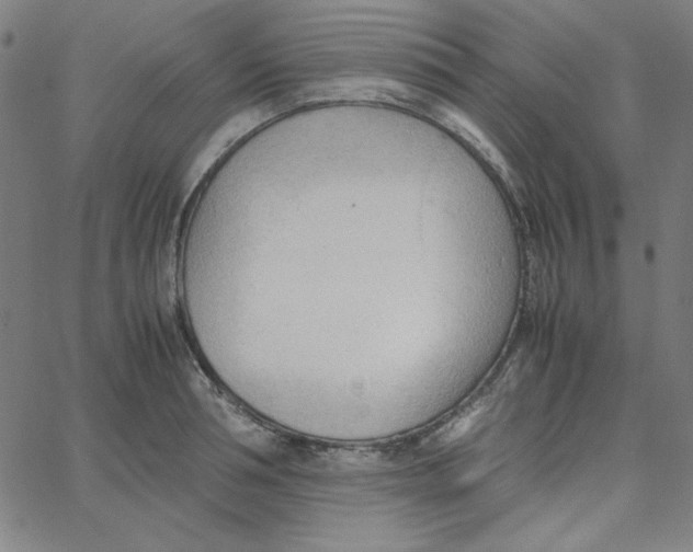 X0000067520994200604281629