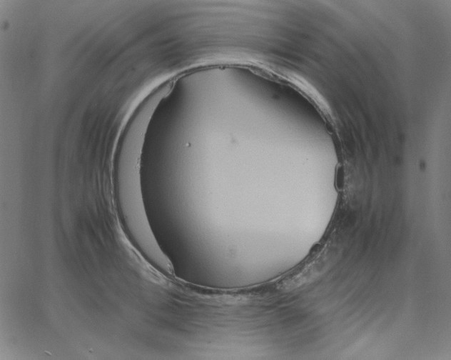 X0000067520996200604281629