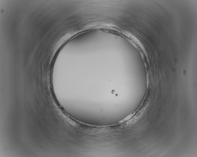 X0000067520997200604281629