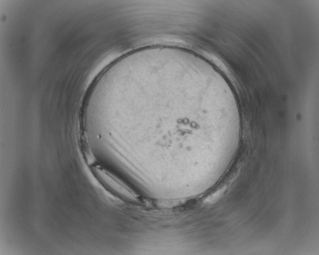 X0000067520999200604281629