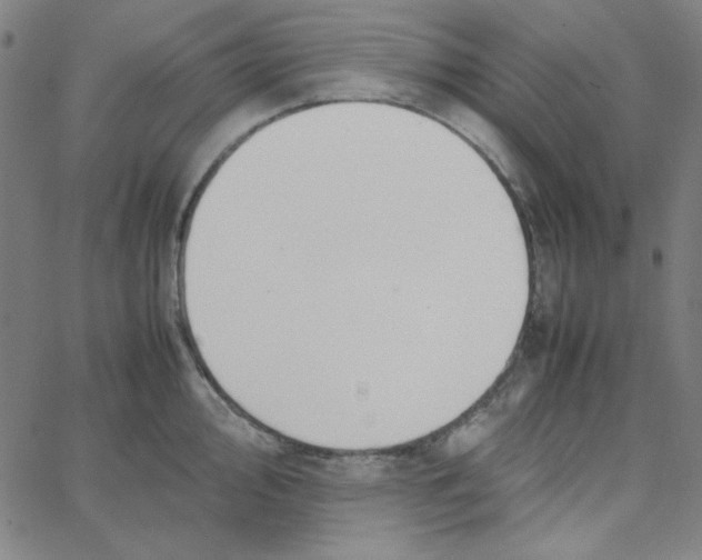 X0000067521000200604281629