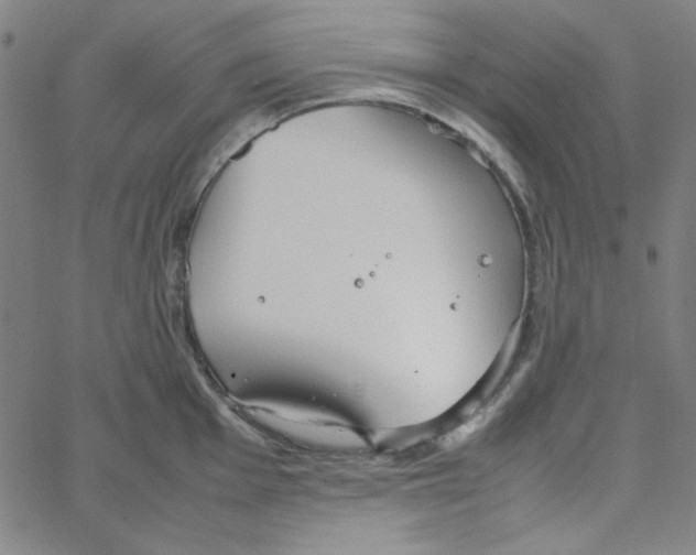 X0000067521001200604281629