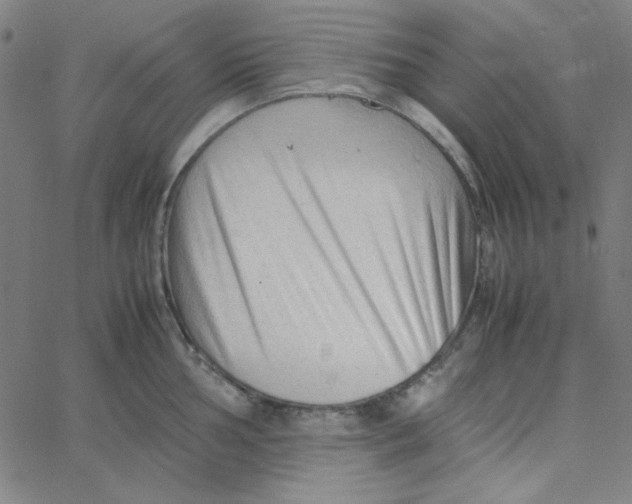 X0000067521002200604281629